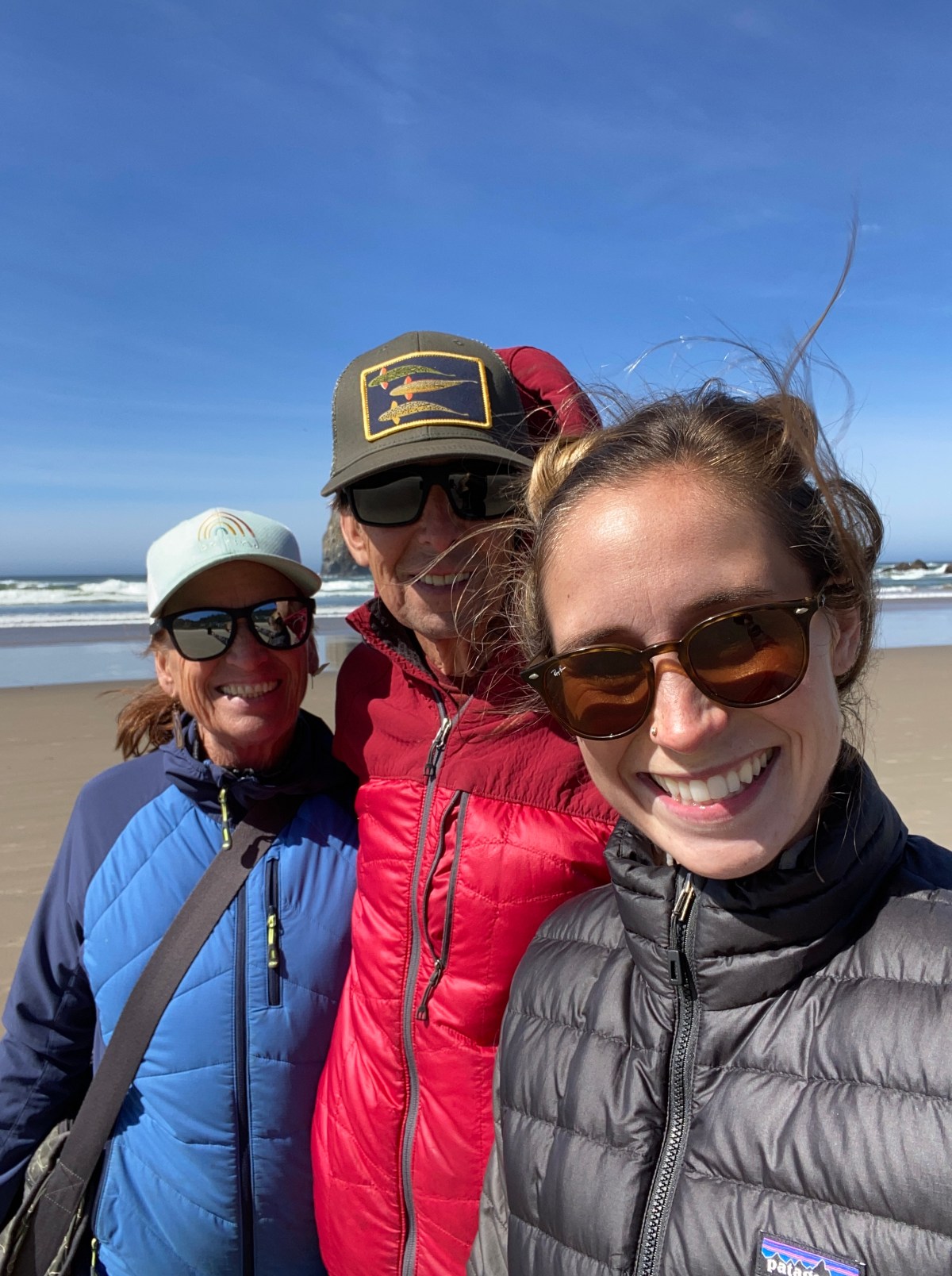 Branches on a&nbsp;tree